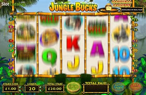 jungle bucks free spins Attempt Jungle Dollars slot machine free of charge or real cash Go through all the information on this slot machine game through OpenBet Reels and